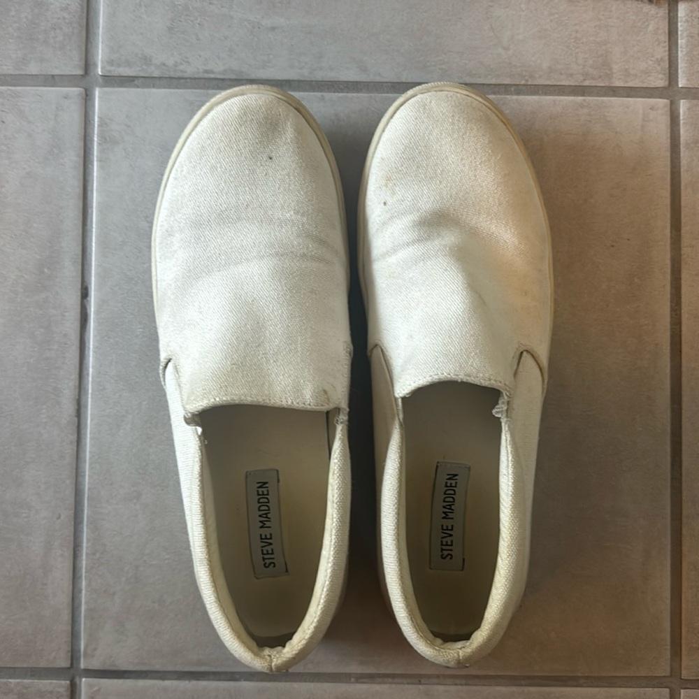 Steve Madden White Sneakers!
